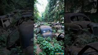 Abandoned in the Russian Forest! The Mysterious Story of a Car Graveyard Forgotten by Time#shorts