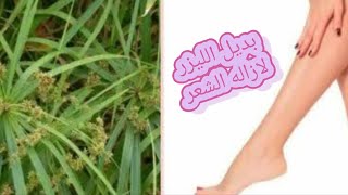 جربي بديل الليزر لازاله الشعر ومش هتندمي ،جمالك مع مكه