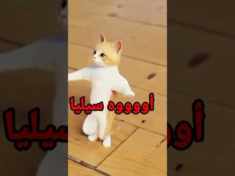 اغنية سيليا القمر احلى البنات السعودية الكويت الجزائر قطر مسقط البحرين تركيا دبي العراق جده