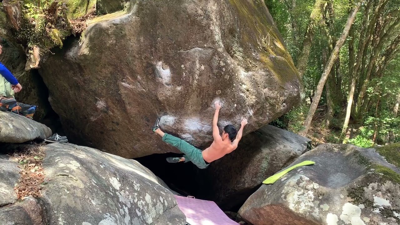 日之影　ミズマリ