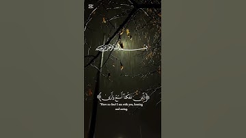 قران كريم بصوت جميل. #اكسبلور #المصحف #إسلاميات #الرحمن #راحة_نفسية #مكة_المكرمة #دويتو #حالات_واتس
