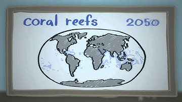Climate Science in a Nutshell #8: Climate Change in the Oceans