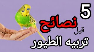 لوبتفكر تجيب عصافير؟ لازم تشوف الفيديو ده