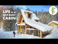 Couples cozy log cabin home built from scratch with 40 trees from the land