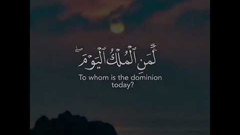 القرآن الكريم| غافر 🦋