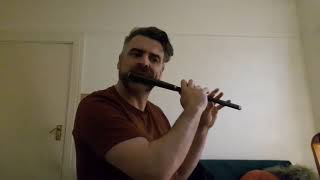 Irish Traditional Flute Music