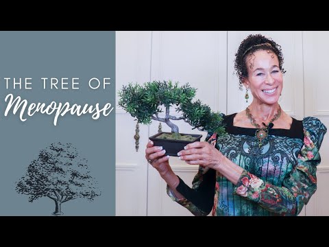 The Tree of Menopause - 234 | Menopause Taylor