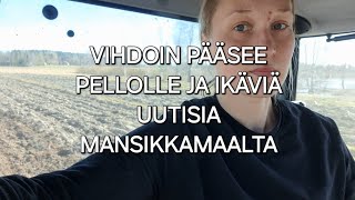 Vihdoin pääsee pellolle ja ikäviä uutisia mansikkamaalta