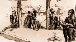 The History of Rubber and it's Effects on the World