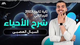 السيال العصبى بأفضل طريقه لتانيه ثانوى?? هاااانت ???✅