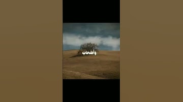 جزء ١٧ {ولا تكونوا كالذين نسوا الله} [الحشر:١٩] علي جابر #قران_كريم #القارئ #علي_جابر #اجر_لي_ولكم
