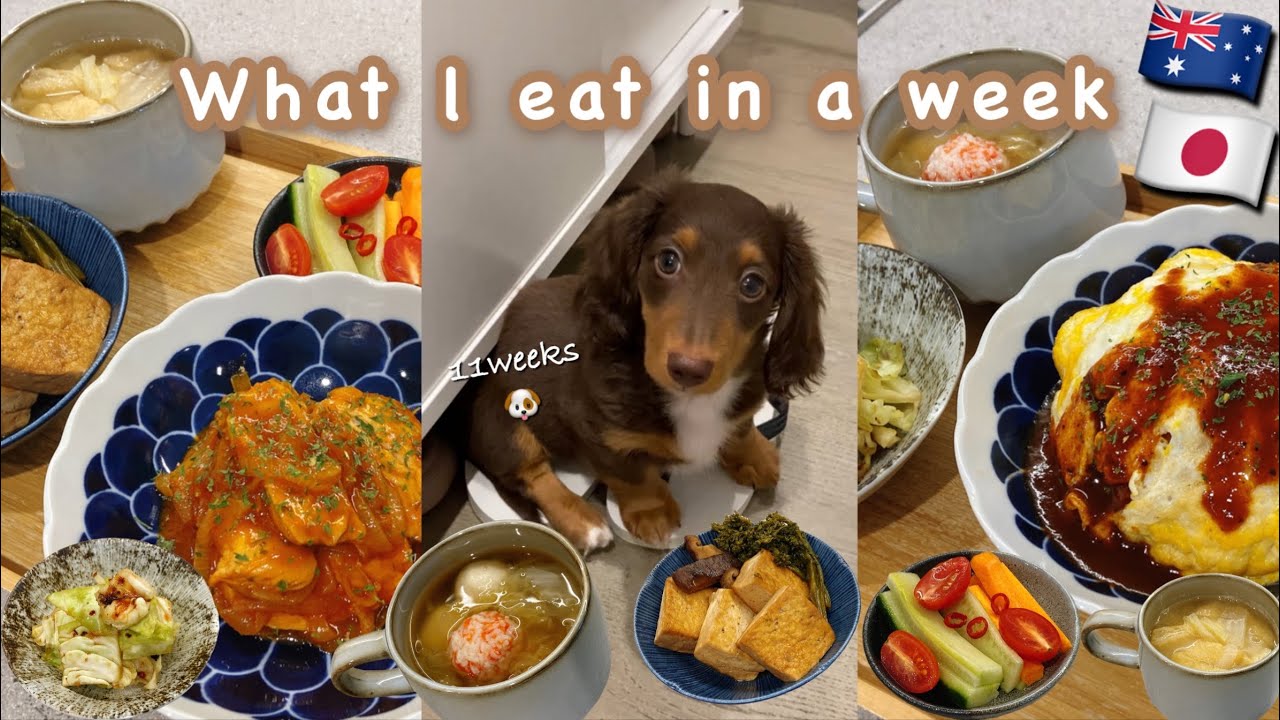 What l eat in a week | healthy & easy Japanese recipes | Living in Australia 🇦🇺 with puppy 🐶