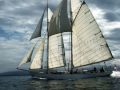 My Choice 323 - Rod Stewart: (I am) Sailing