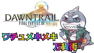 【FF14】 頬白🦈ワチュメキメキをテキパキハリキリます！🦈【ネタバレ注意】