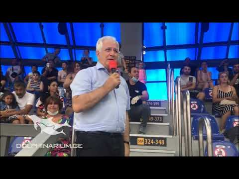 ამირან გამყრელიძის შთაბეჭდილება