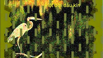 Có Những Niềm Riêng  Lê Tín Hương  Tuấn Ngọc Super HD