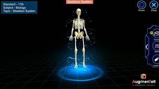 Skeleton System screenshot 5