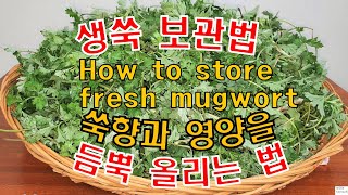 🎁 제철 생쑥 손질법 및 보관법/생쑥 냉장, 냉동 보관법으로 맛, 향, 영양을 더욱 올려주는 간단 보관법/제철 쑥 보관법 1