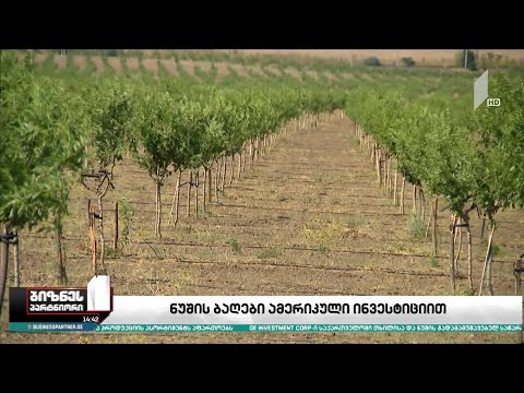 ნუშის ბაღები ამერიკული ინვესტიციით