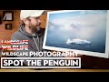 Landscape Photographer Tries Wildlife Photography | Nikon Z9 + 100-400mm Lens