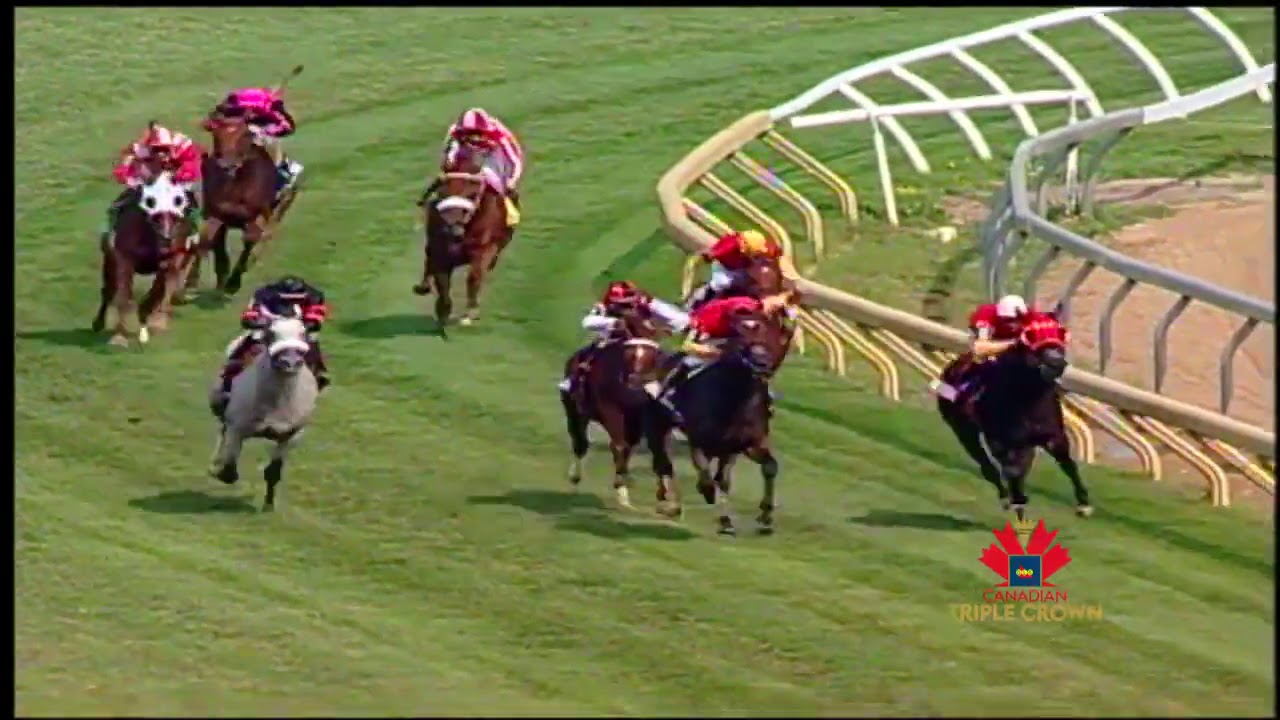 2003 | Wando wins the Canadian Triple Crown