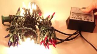 3 Circuit Chasing Controller | Black Enclosure| DEMO