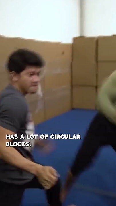 Iko Uwais is the next Jackie Chan