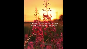 ٱللَّهُ ٱلَّذِى خَلَقَ ٱلسَّمَٰوَٰتِ وَٱلۡأَرۡضَ وَمَا بَيۡنَهُمَا فِى سِتَّةِ أَيَّام | سورة السجدة