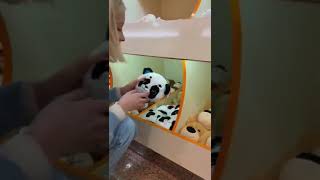 СДЕЛАЛА ИГРУШКУ СВОИМИ РУКАМИ😱😱😱 #shorts #лайфхак #diy #своимируками видео