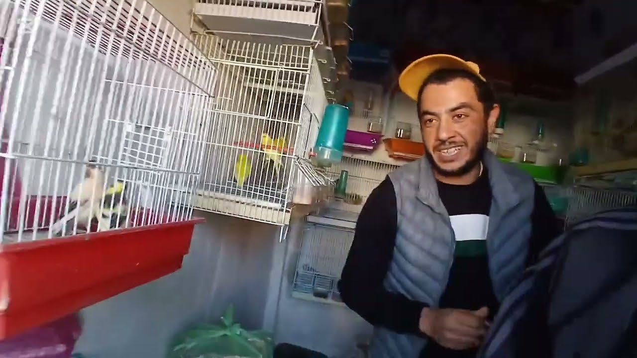 أجواء جميلة في رحبة الطيور 🐦 سوق الصالحين 