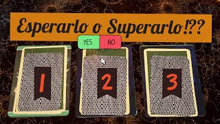 Vale la pena esperar o es mejor olvidar?💔TAROT & ORACULO INTERACTIVO (Lectura Infinita) 🦋🔮