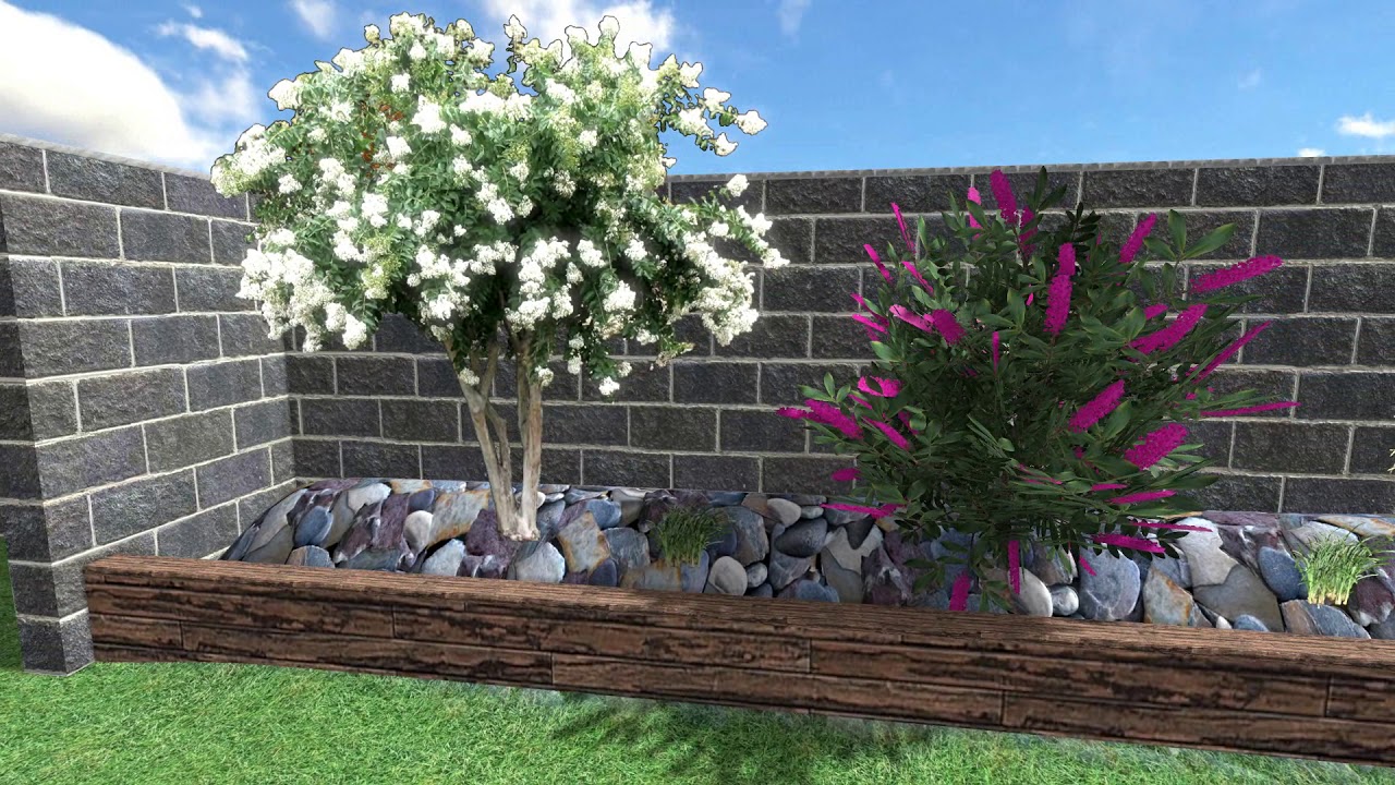 Veterinary Hospital 3D Walkthrough Design