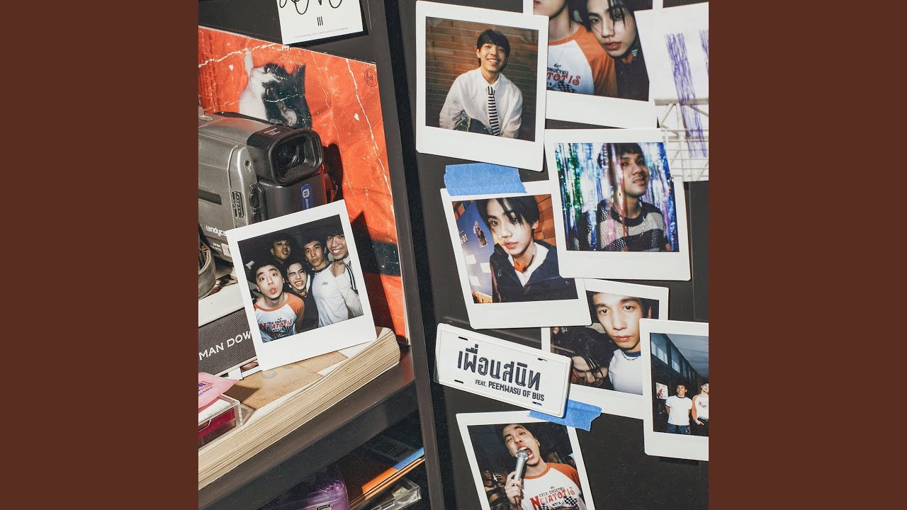 เพื่อนสนิท (Platonic Love)