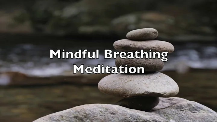 Mindful Breathing Meditation with Erin Carpenter