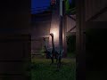 Struthiomimus: Herbivore Dinosaur #jwe2gameplay #jurassicworldevolution2
