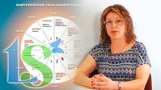 Биоритмы. Как правильно питаться при ночном образе жизни. Биоритмы. Как правильно питаться при ночном образе жизни.