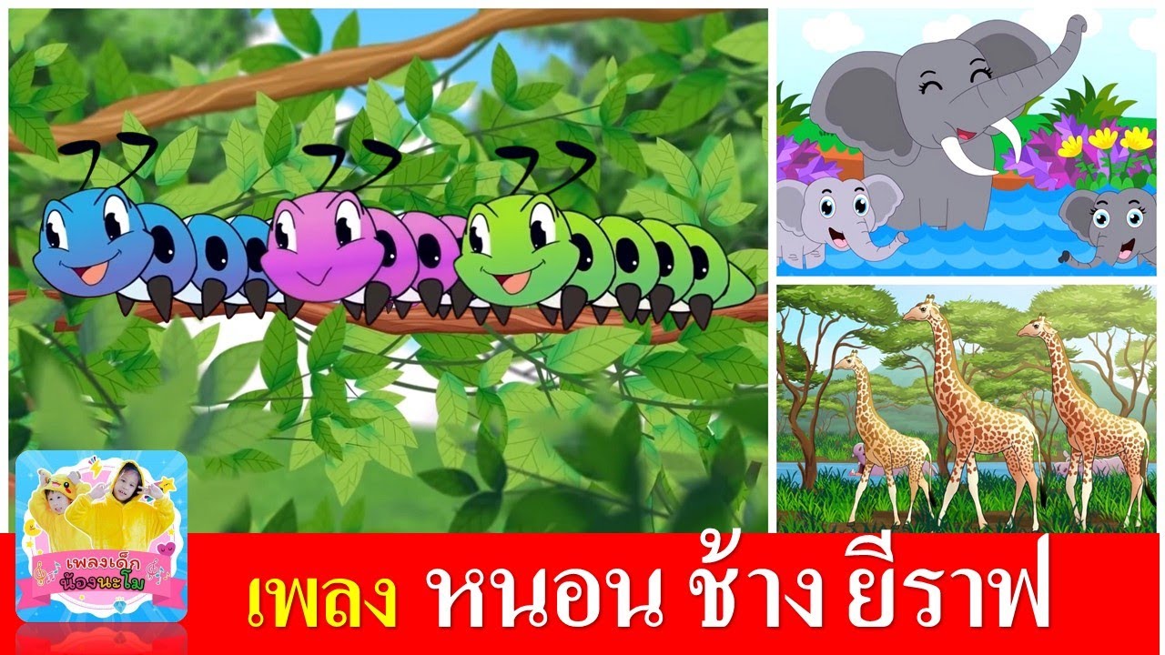 เพลงเด็กอนุบาล หนอน ช้าง ยีราฟ | หนอนผีเสื้อ | ช้างช้างช้าง | ยีราฟคอยาว