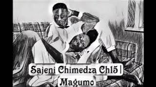 Kuverengwa Kwemabhuku|Sajeni Chimedza Ch15#paivapokareaudiobooks#tsikanemagariro#shonaaudiobooks