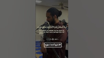 ما تيسر من سورة التوبة||تراويح ١٤٤٦هـ.  #قران #ramadan #quran