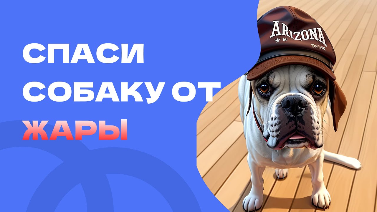 Как спасти собаку от жары, что такое перегрев у собаки, чем опасен ...