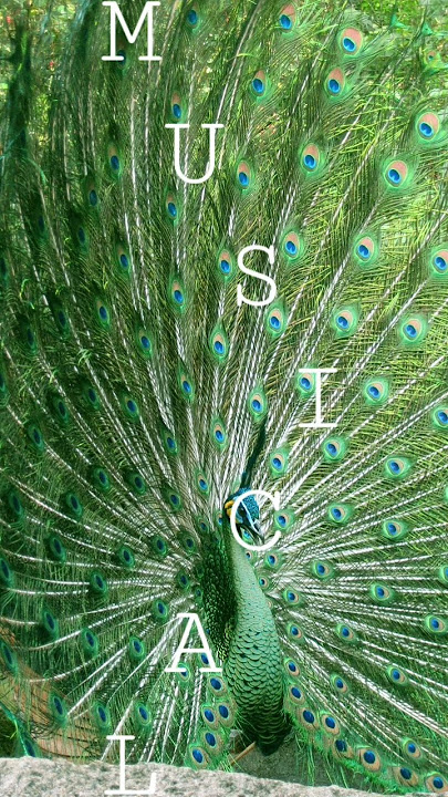 Good NIT🎧 - Dizanour🎵 [No Copyright Music]🎶