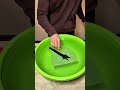 #waterexperiments #papertowel #science