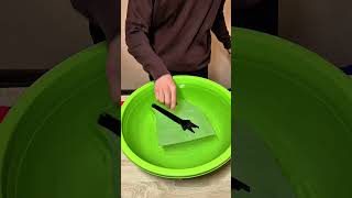 #waterexperiments #papertowel #science