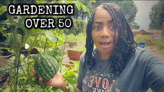 HELP! Gardening Over 50 is Not Easy…@vego_garden raised bed Gardening