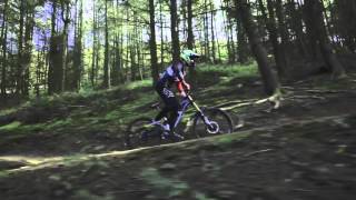 cablecam test in forest