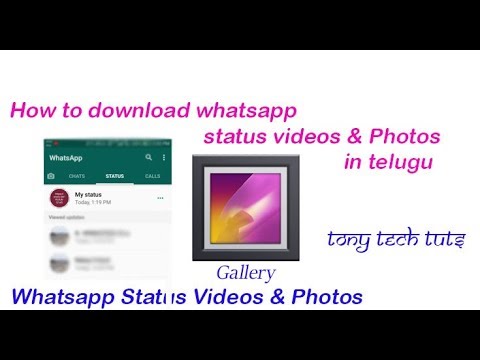 How To Download Whatsapp Status Videos In Telugu