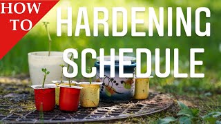 HOW TO Harden Off Plants BEFORE TRANSPLANTING. PUTTING PLANTS OUTDOORS | Gardening in Canada 🌿👩‍🔬