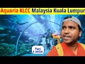 Aquaria klcc malaysia klcc malaysia aquaria malaysianvlogfishindianvlogger kulalampurtrend