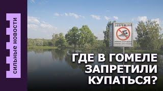 Очередь в поликлинику / Где в Гомеле запретили купаться / Лось пробежался по Гомелю