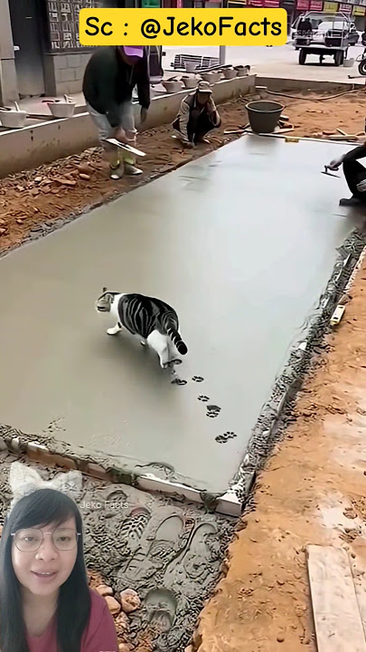 Numpang lewat ya om 🙏‼️#shorts #trending #funny #remix @JekoFacts